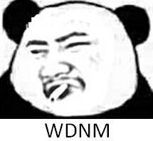 wdnmdʲô˼ wdnmdʲô