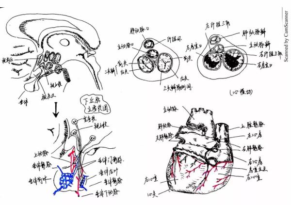 피УWԕɹPӛW(wng)ѹˣ@ǲడ