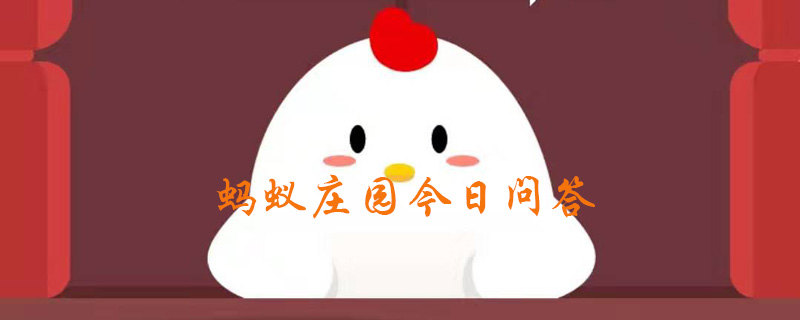 小雞寶寶考考你:一只羽毛球上,通常有幾根羽毛?
