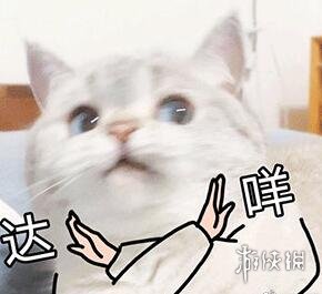 游俠網(wǎng)3