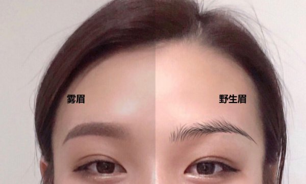 野生眉和霧眉的區(qū)別