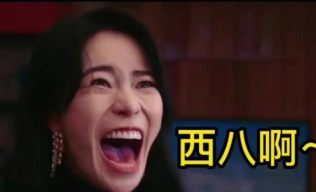 網(wǎng)絡(luò)用語西八腦是什么梗