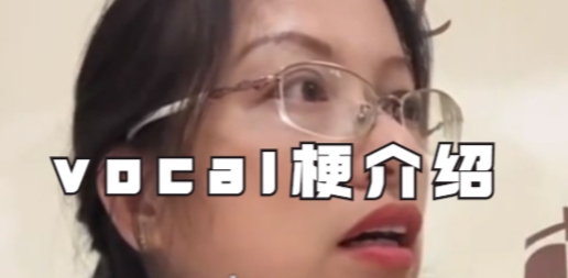 網(wǎng)絡(luò)用語(yǔ)vocal是什么梗