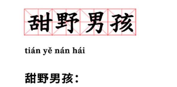 網(wǎng)絡(luò)用語甜野男孩是什么梗