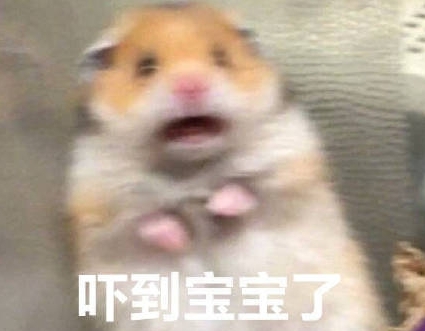 WjZԴʲô