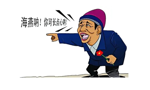 網(wǎng)絡(luò)用語海燕體是什么梗