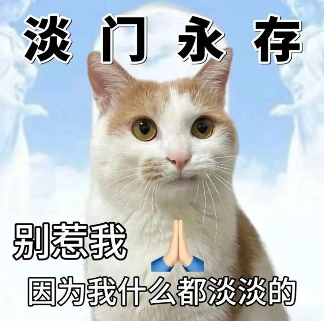 網(wǎng)絡(luò)用語濃人淡人是什么意思