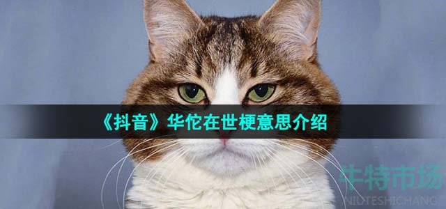 《抖音》華佗在世梗意思介紹