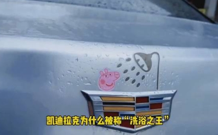 網絡用語凱迪拉克洗浴王是什么梗