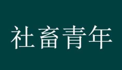 社畜感是什么梗網(wǎng)絡(luò)用語(yǔ)